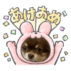 chiBis_20230108212656