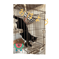 Aoi_20230108212337