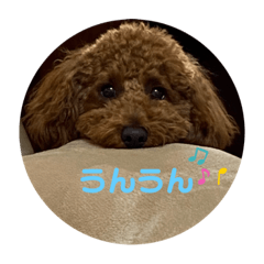 YUKA_20230108210626