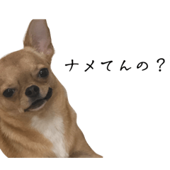 alice_20230108205558