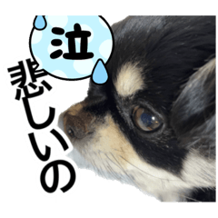 tom_20230108233212