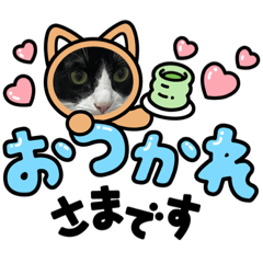 suzu_20230108233450