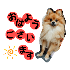 RURU_20230109014433