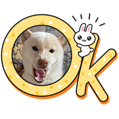 saori_20230108230235