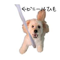 mizuki_20230109004839