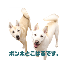 Arisa_20230109105656