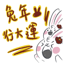 Rabbit with attitude-New Year