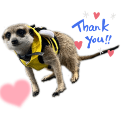 natsumi_20230109120132