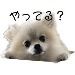 arisa_20230109125549