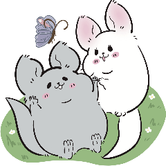 chinchilla meixdi 6 LOVE