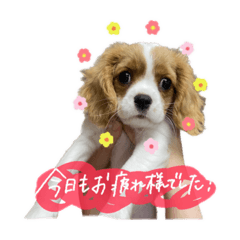 Arisa_20230109120342