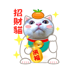 My own cats