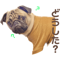 GON_20230108012737