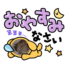 omochi_20230109181047