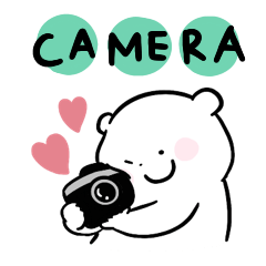 camera loving white bear