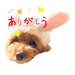 Mina_2023010104240901