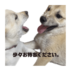 Arisa_20230109195438