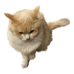 mizuki_20230109202957