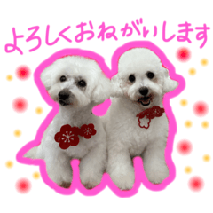 minnie_mill
