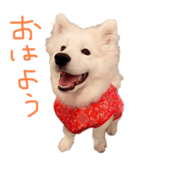 Airi_20230110124221