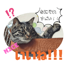 maru_20230109225050