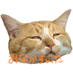 Harapeko aomushi_20230110130009