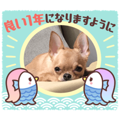 Alice_20230110142658