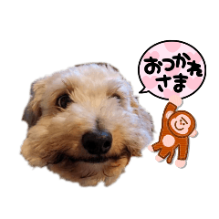 peco_20230110143332