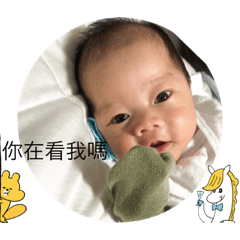最愛的崴