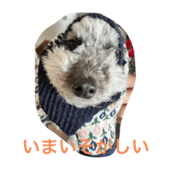 yuka_20230111084445