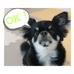 Ryuki_20230110165412