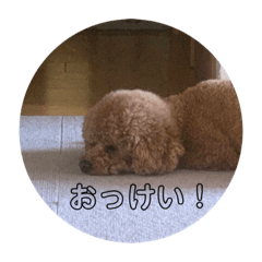 suzu_20230110155157