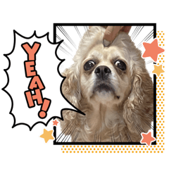 chiyo_20230110154531