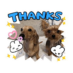 nozomi_20230110171741