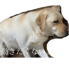 HANA_20230110231930
