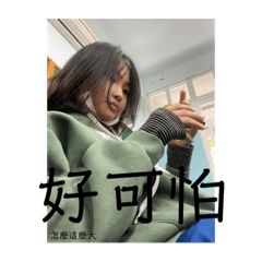 不可以亂開車3