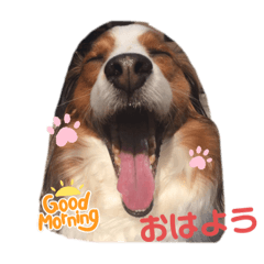 yuka_20230111050917
