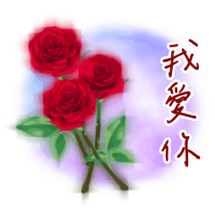 Flower Meanings 06 (Rose,Lily,Carnation)