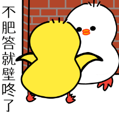 黃白色二禽組-畫與話篇 #47