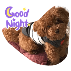 NOZOMI_20230110222553