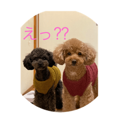yun_20230111110007
