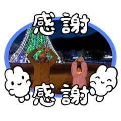 mimineko_20230111114233