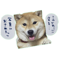 suzu_20230111115358