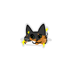 コーガ様