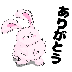 Fusatto Rabbit