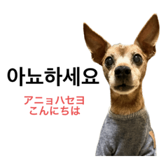 ミィの韓国語スタンプ