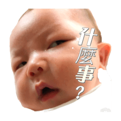 劉yo-yo老大