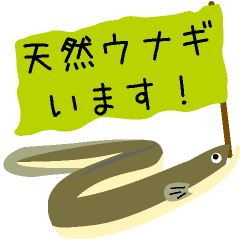 Life cycle of Japanese eel