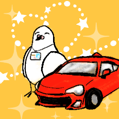 Pigeon's happy car life