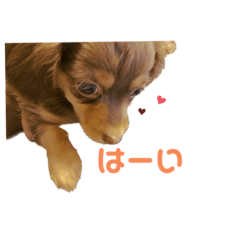 chisa_20230111154146